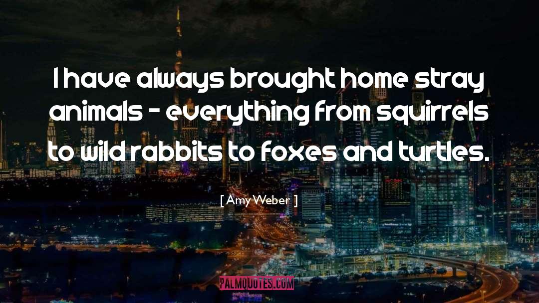 Amy Weber Quotes: I have always brought home