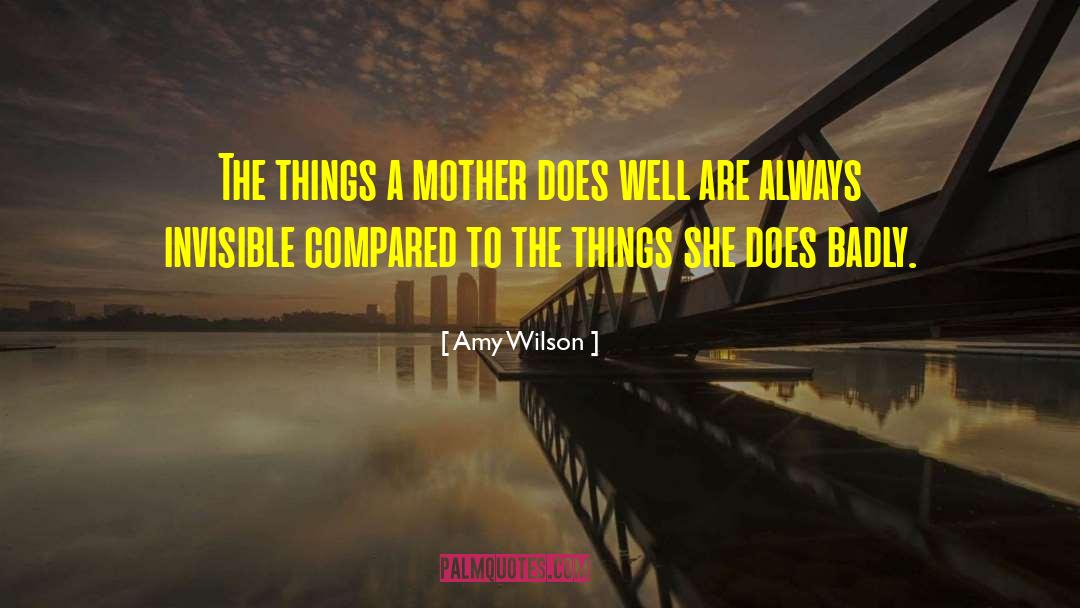 Amy Wilson Quotes: The things a mother does