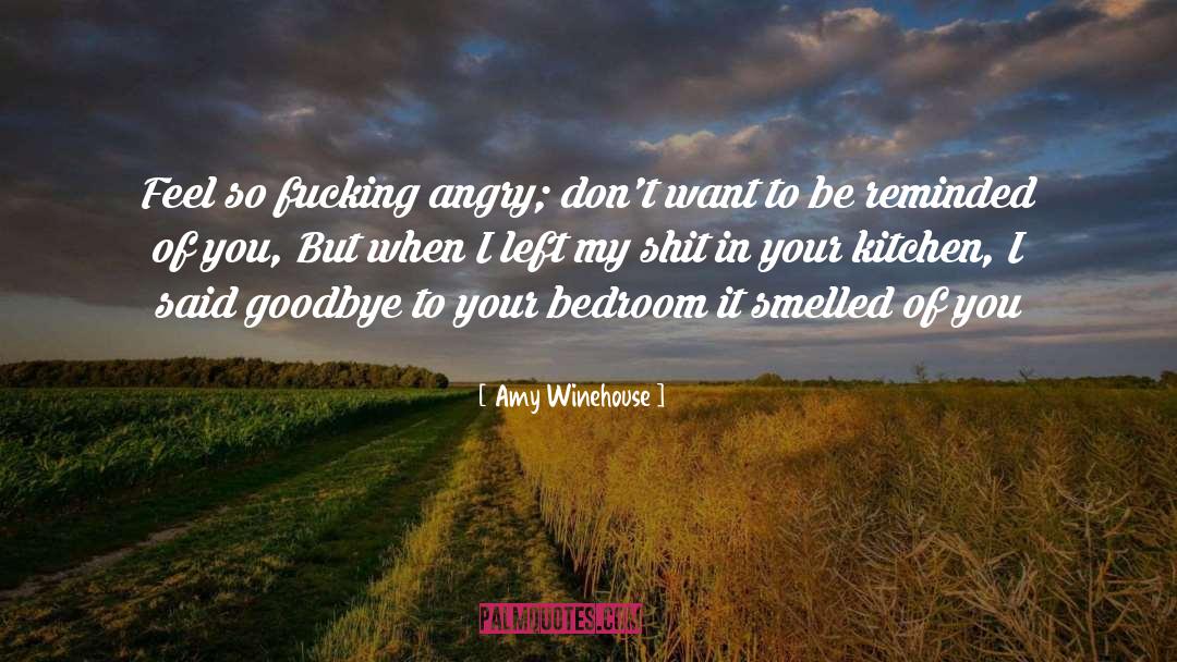 Amy Winehouse Quotes: Feel so fucking angry; don't