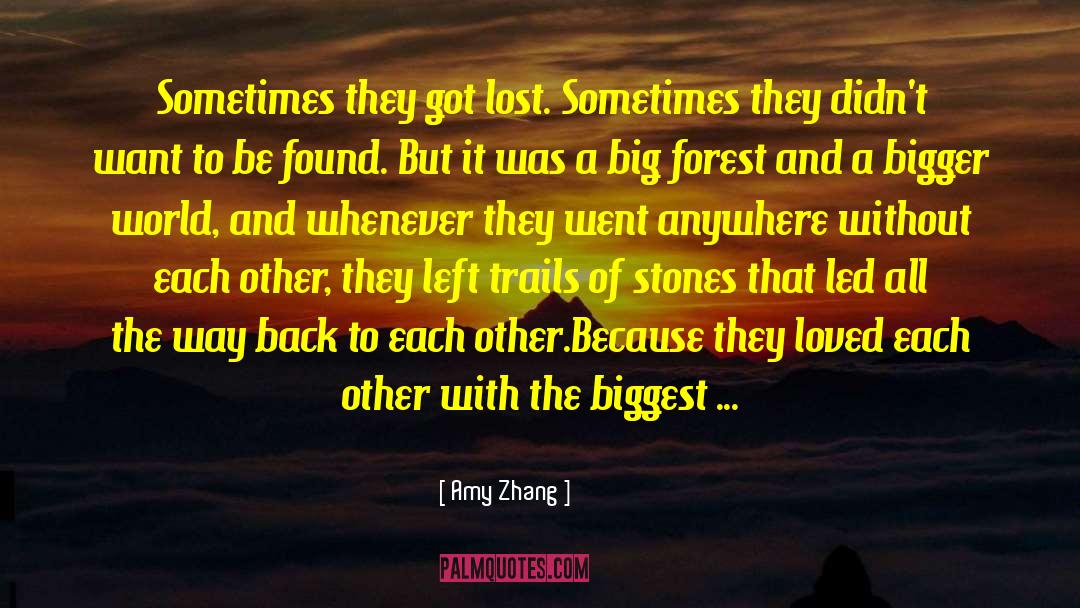 Amy Zhang Quotes: Sometimes they got lost. Sometimes