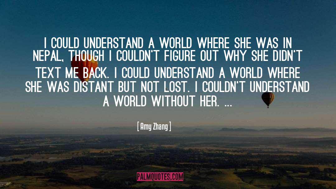 Amy Zhang Quotes: I could understand a world