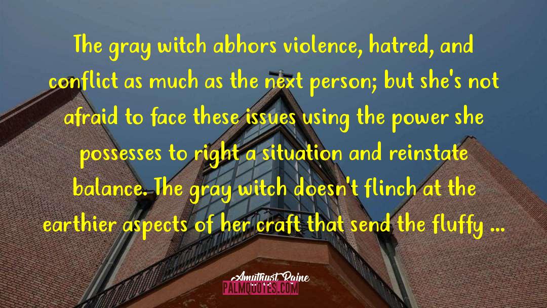 Amythyst Raine Quotes: The gray witch abhors violence,