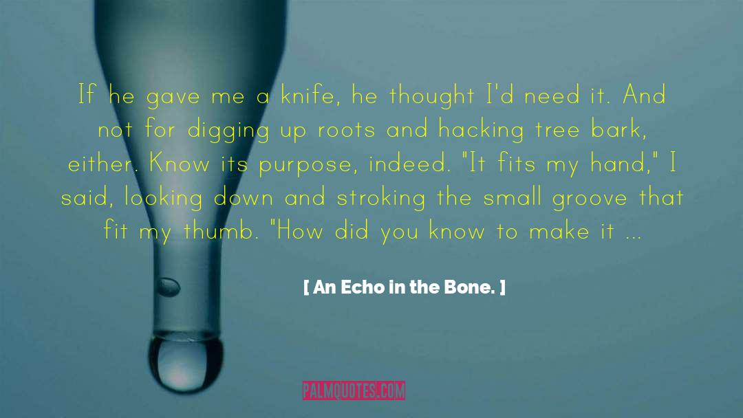 An Echo In The Bone. Quotes: If he gave me a