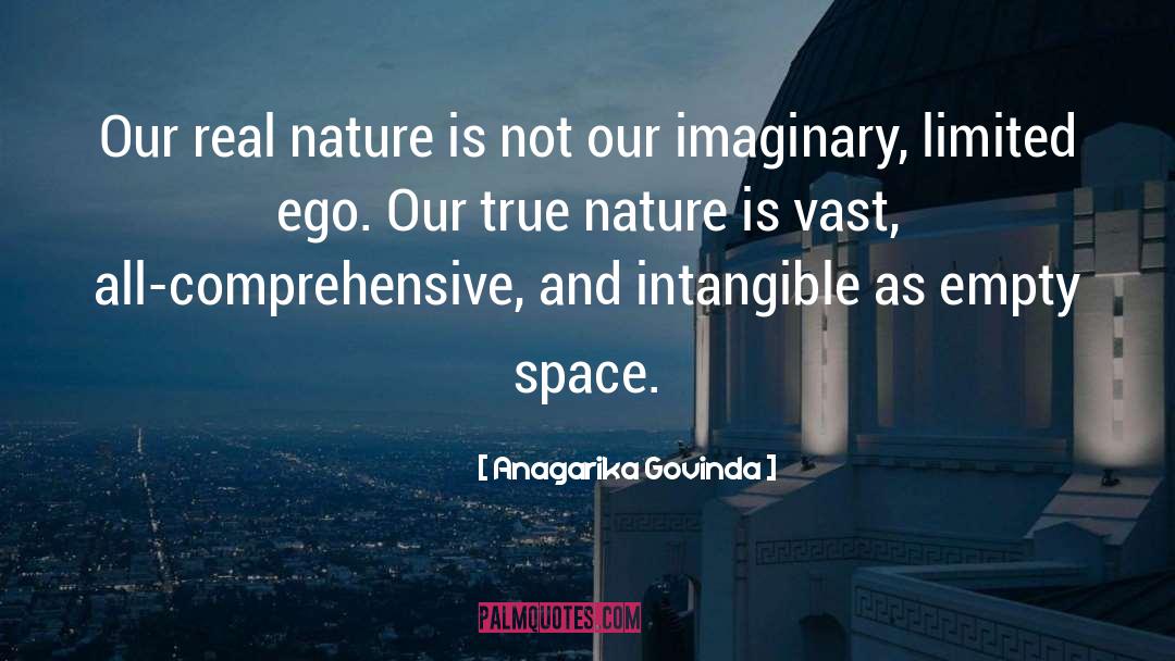 Anagarika Govinda Quotes: Our real nature is not