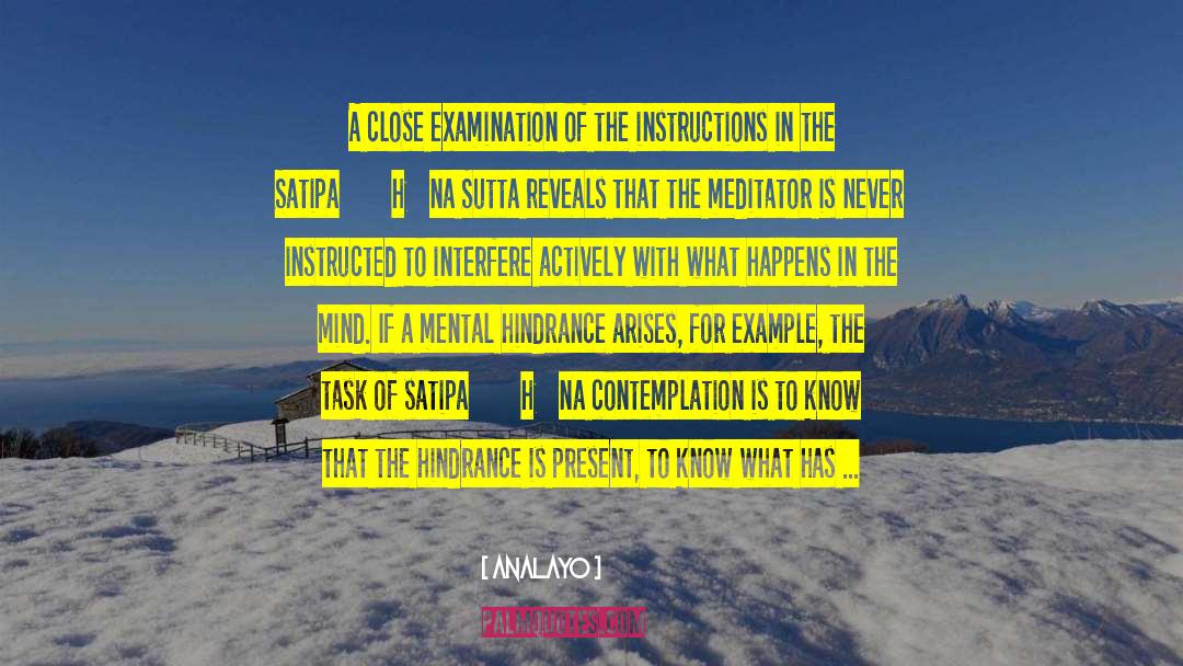 Analayo Quotes: A close examination of the
