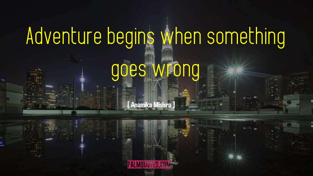 Anamika Mishra Quotes: Adventure begins when something goes