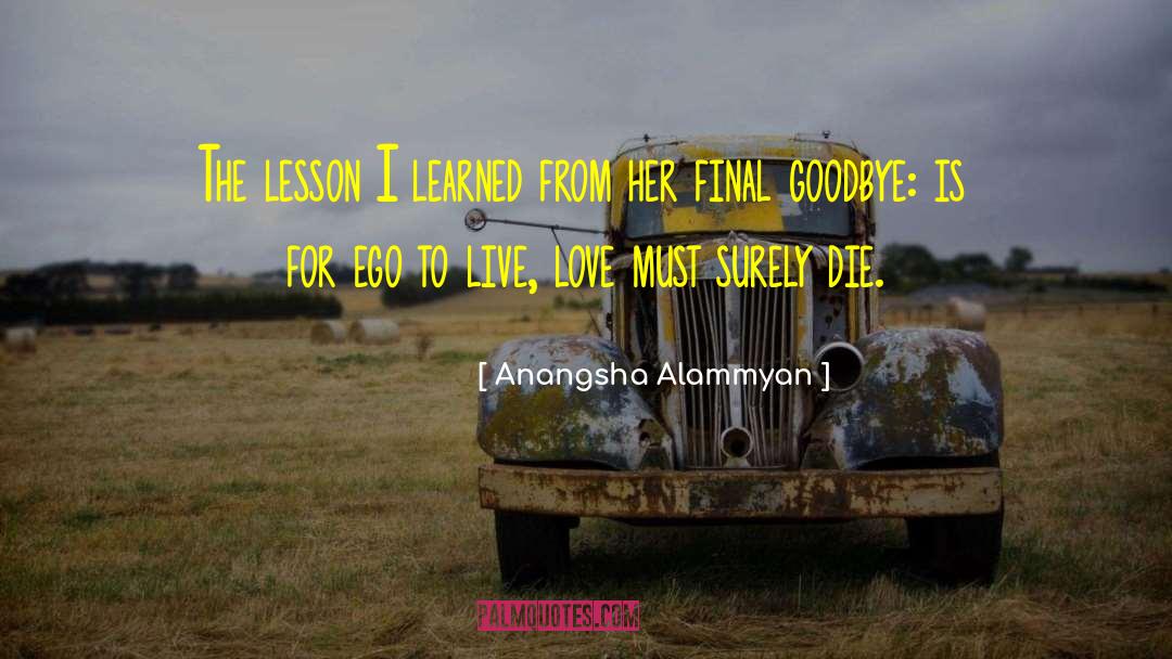 Anangsha Alammyan Quotes: The lesson I learned from