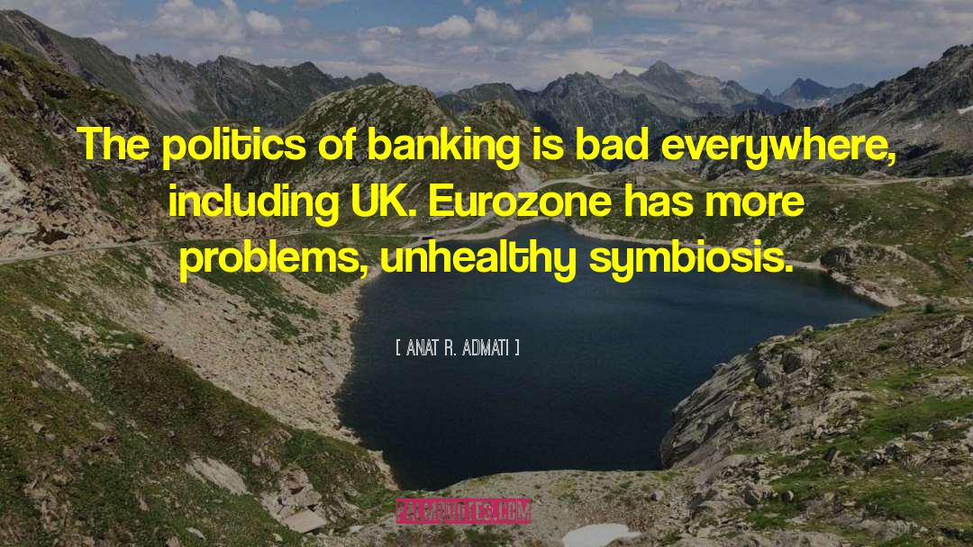 Anat R. Admati Quotes: The politics of banking is