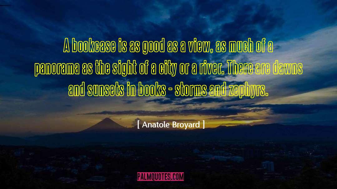 Anatole Broyard Quotes: A bookcase is as good