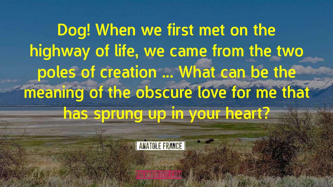 Anatole France Quotes: Dog! When we first met