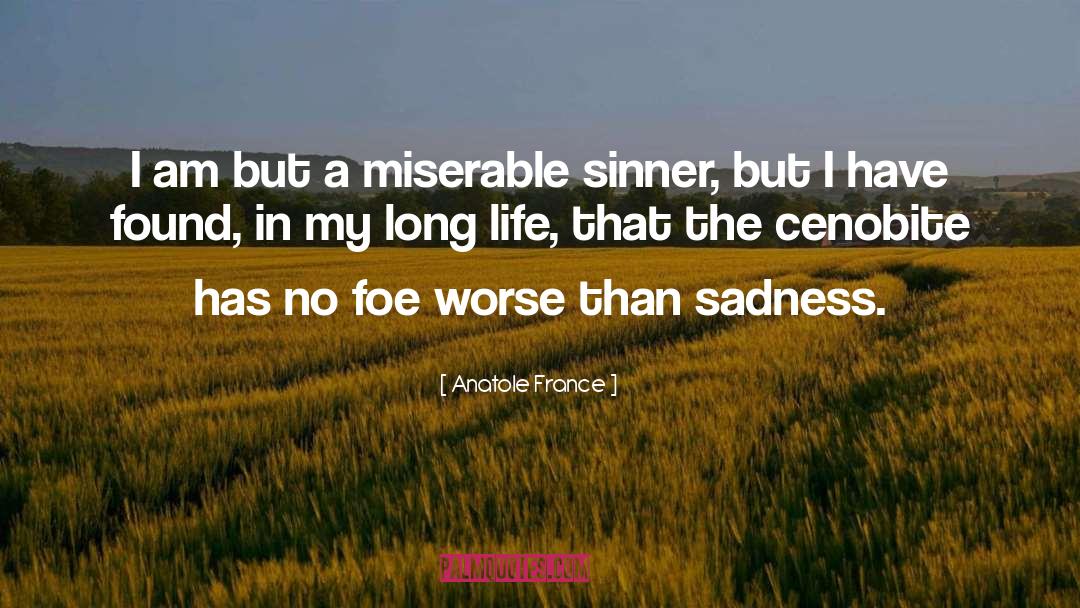 Anatole France Quotes: I am but a miserable