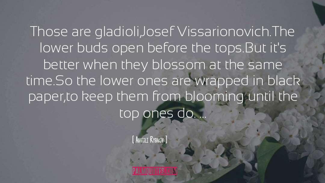 Anatoli Rybakov Quotes: Those are gladioli,Josef Vissarionovich.The lower