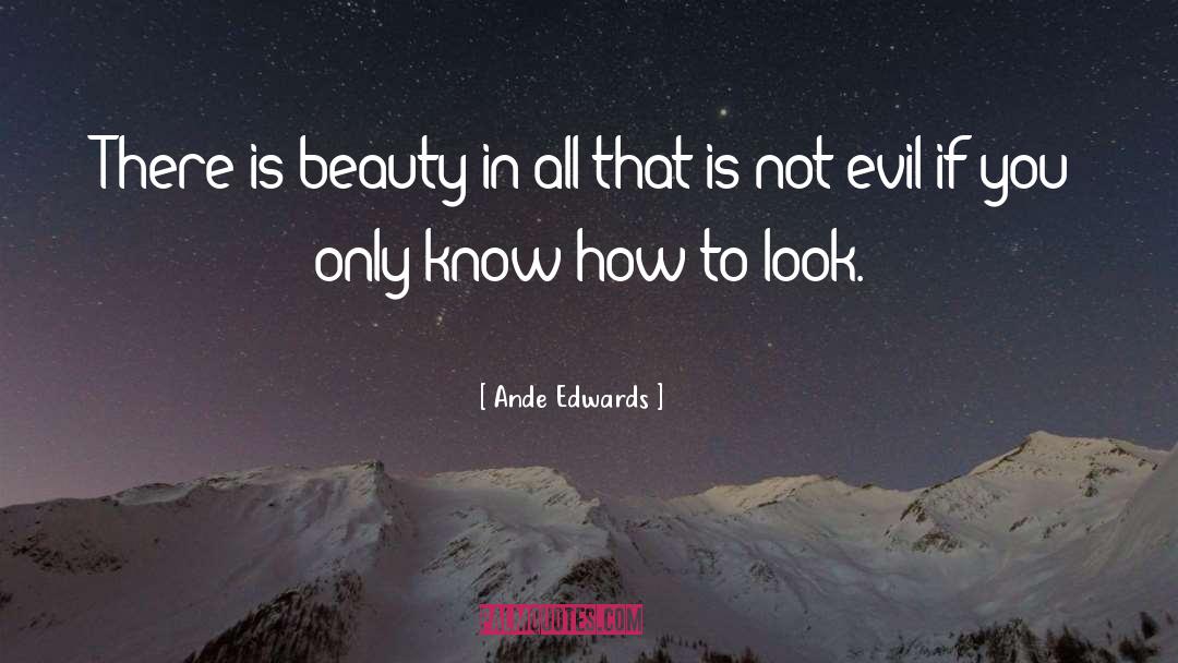 Ande Edwards Quotes: There is beauty in all