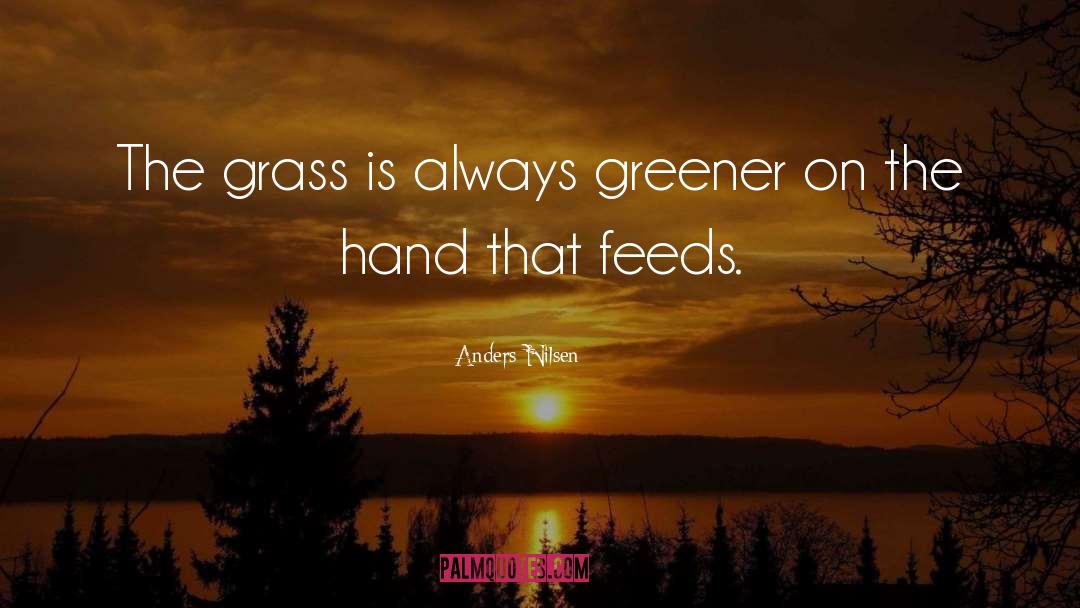 Anders Nilsen Quotes: The grass is always greener