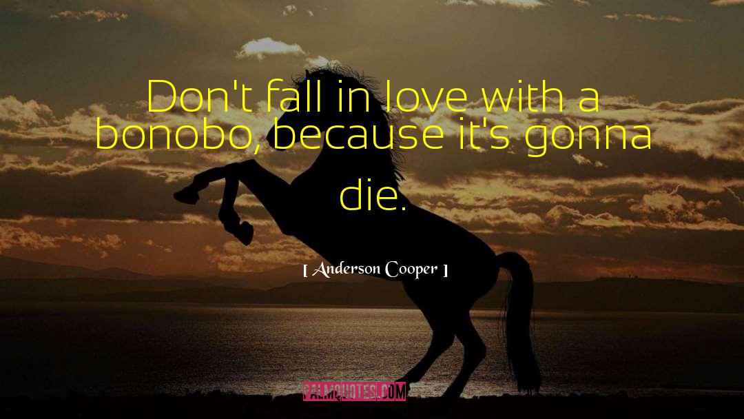 Anderson Cooper Quotes: Don't fall in love with