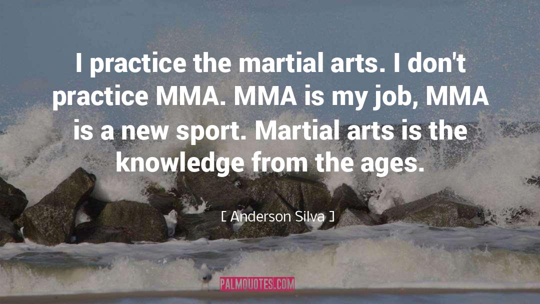 Anderson Silva Quotes: I practice the martial arts.