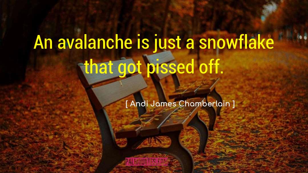 Andi James Chamberlain Quotes: An avalanche is just a