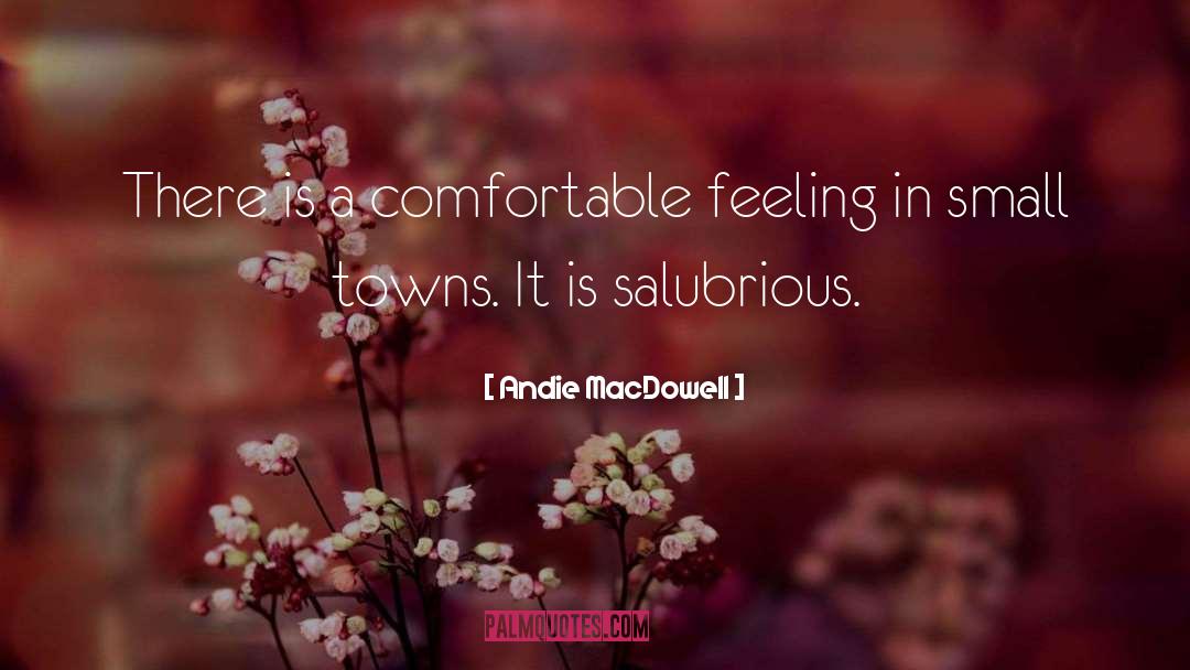 Andie MacDowell Quotes: There is a comfortable feeling