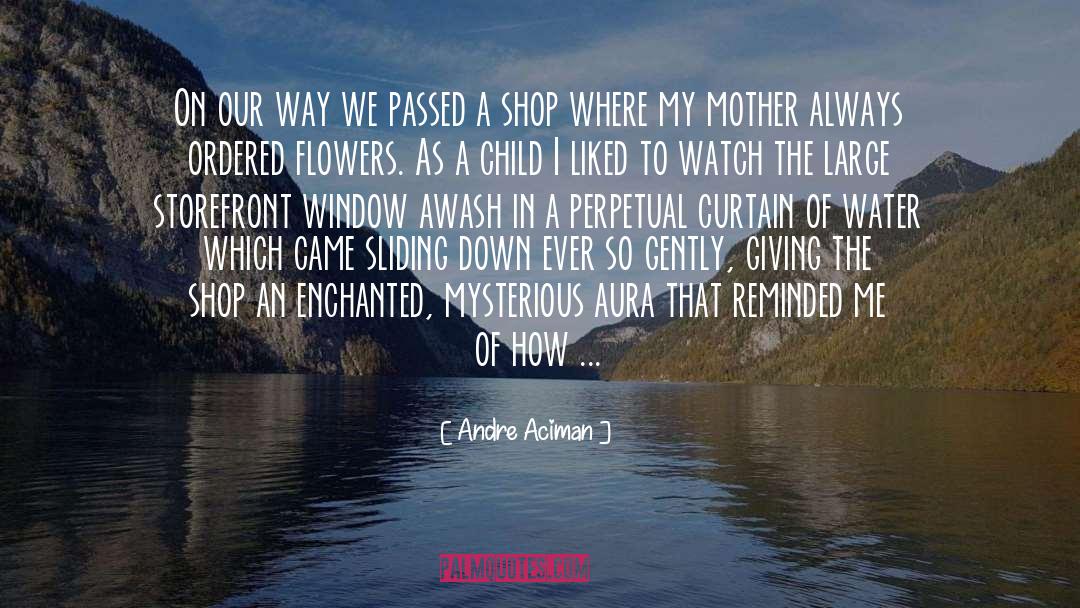 Andre Aciman Quotes: On our way we passed