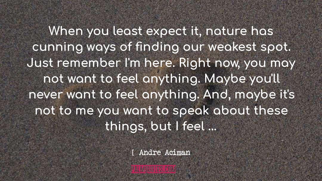 Andre Aciman Quotes: When you least expect it,