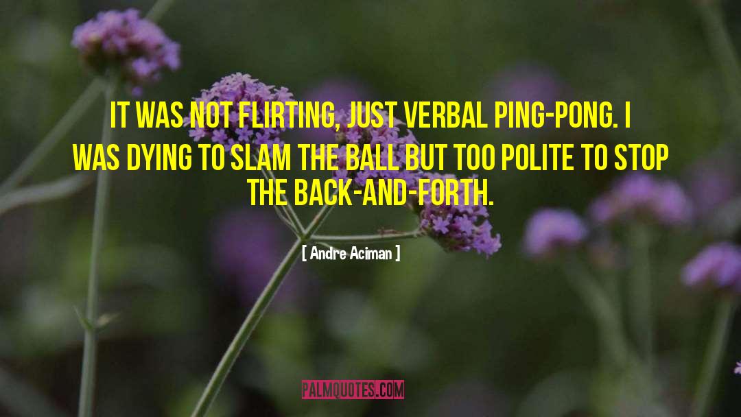 Andre Aciman Quotes: It was not flirting, just