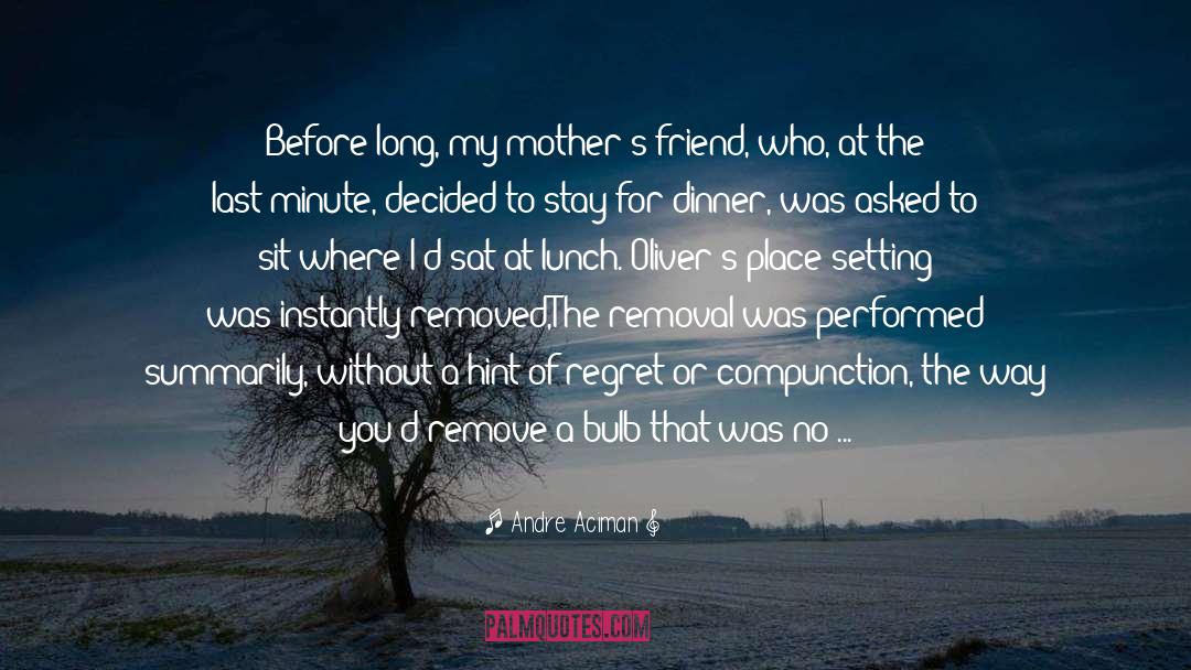 Andre Aciman Quotes: Before long, my mother's friend,