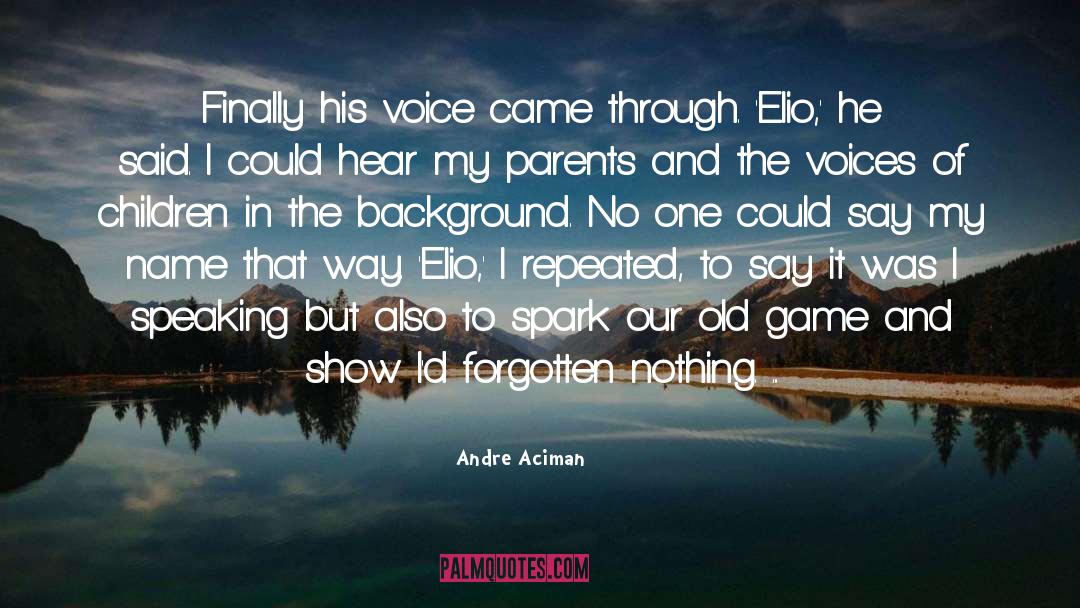 Andre Aciman Quotes: Finally his voice came through.