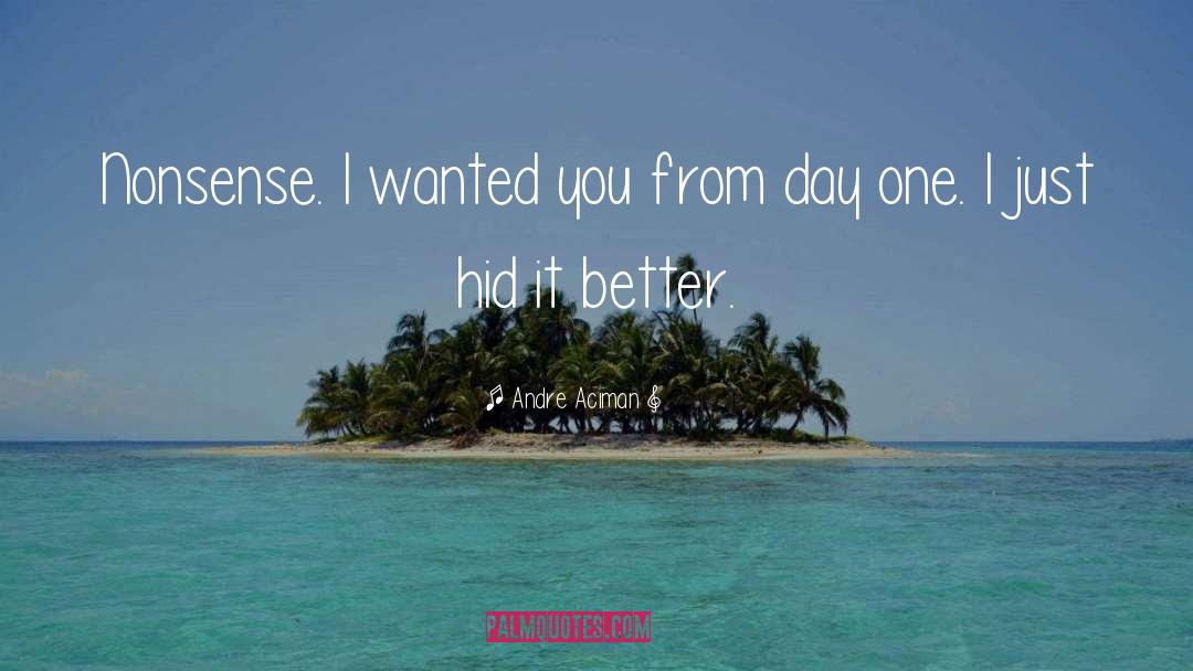 Andre Aciman Quotes: Nonsense. I wanted you from