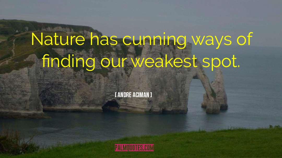 Andre Aciman Quotes: Nature has cunning ways of