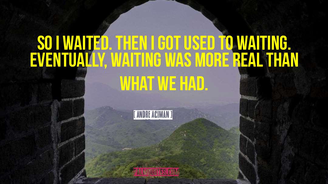 Andre Aciman Quotes: So I waited. Then I