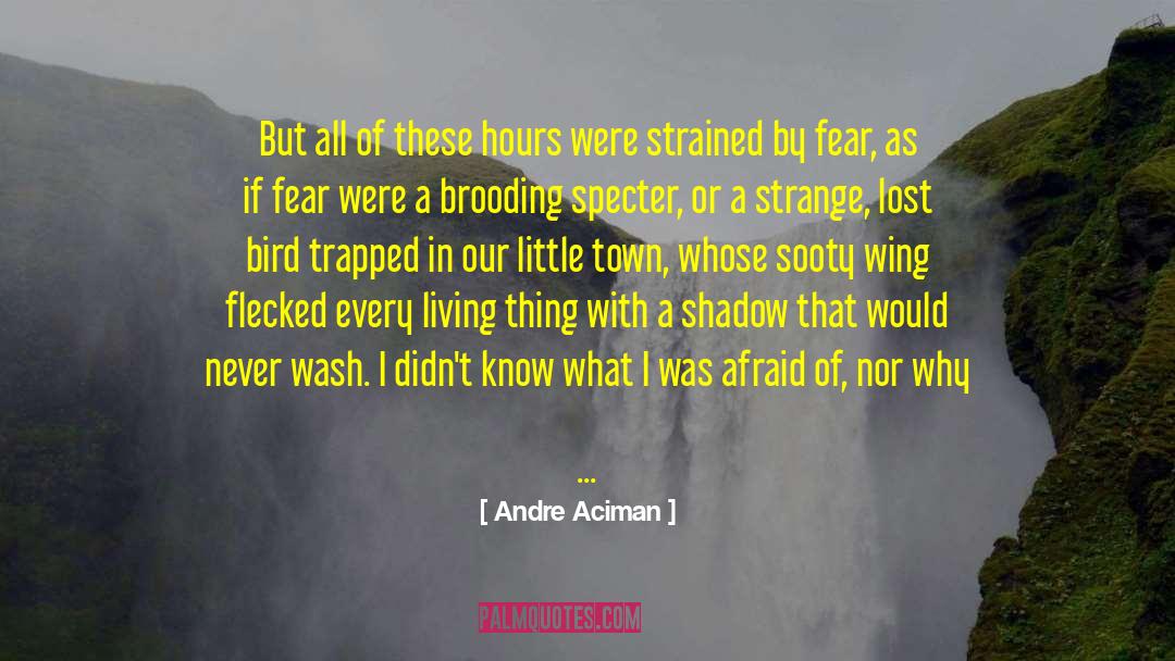 Andre Aciman Quotes: But all of these hours