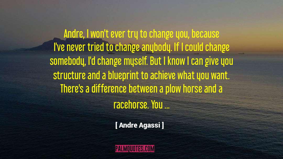 Andre Agassi Quotes: Andre, I won't ever try