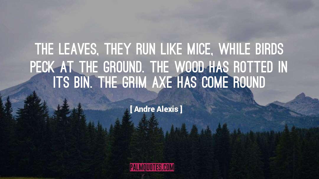 Andre Alexis Quotes: The leaves, they run like