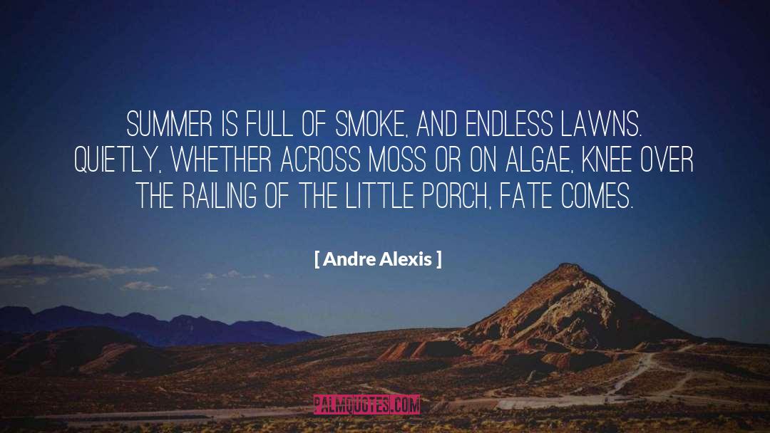 Andre Alexis Quotes: Summer is full of smoke,