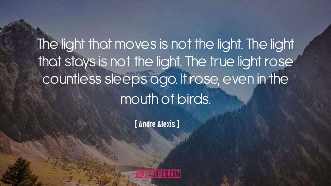 Andre Alexis Quotes: The light that moves is