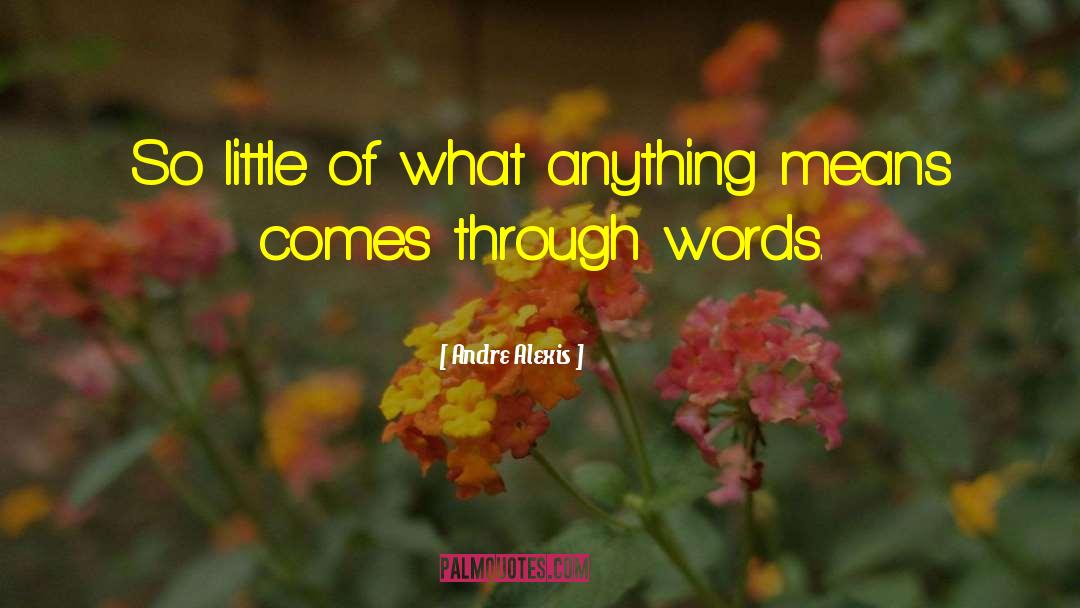 Andre Alexis Quotes: So little of what anything