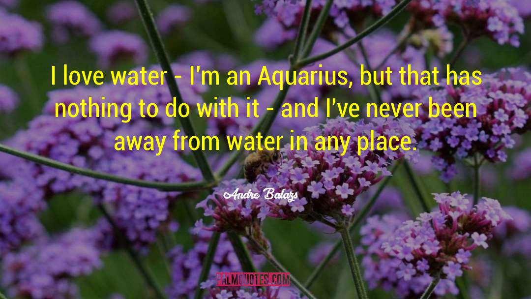 Andre Balazs Quotes: I love water - I'm