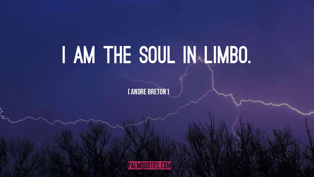 Andre Breton Quotes: I am the soul in