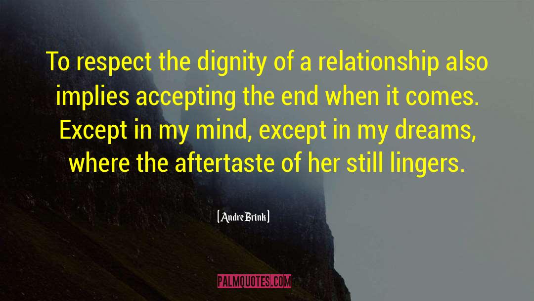 Andre Brink Quotes: To respect the dignity of