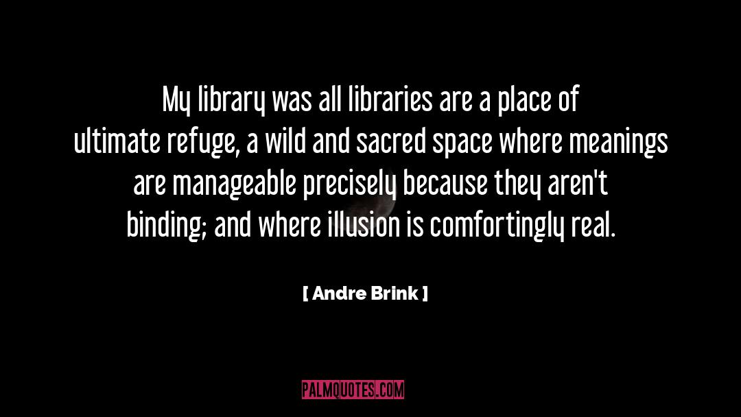 Andre Brink Quotes: My library was <br> all