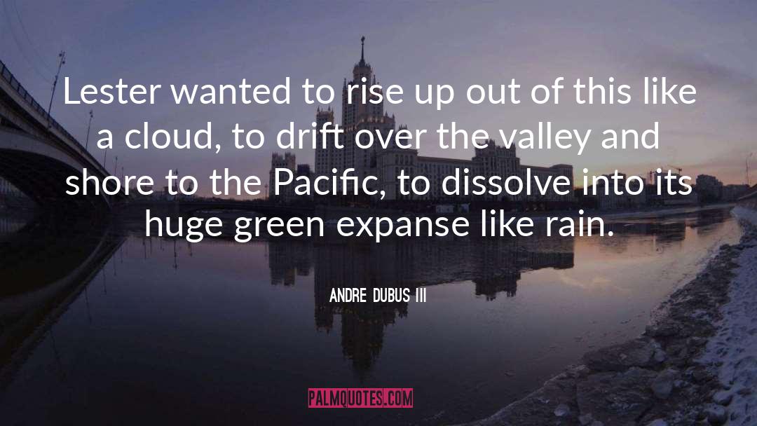 Andre Dubus III Quotes: Lester wanted to rise up