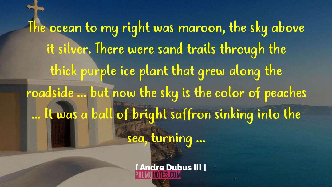 Andre Dubus III Quotes: The ocean to my right