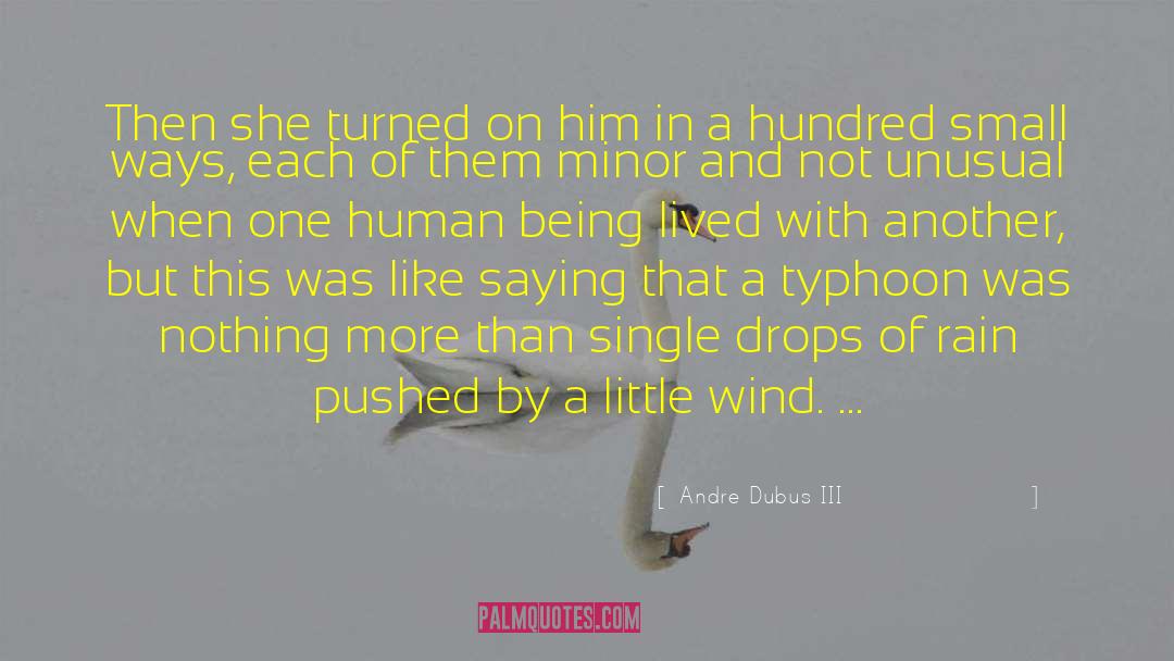 Andre Dubus III Quotes: Then she turned on him