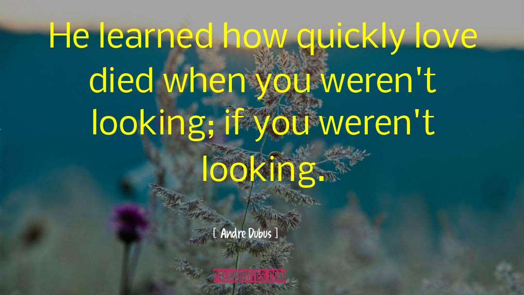 Andre Dubus Quotes: He learned how quickly love