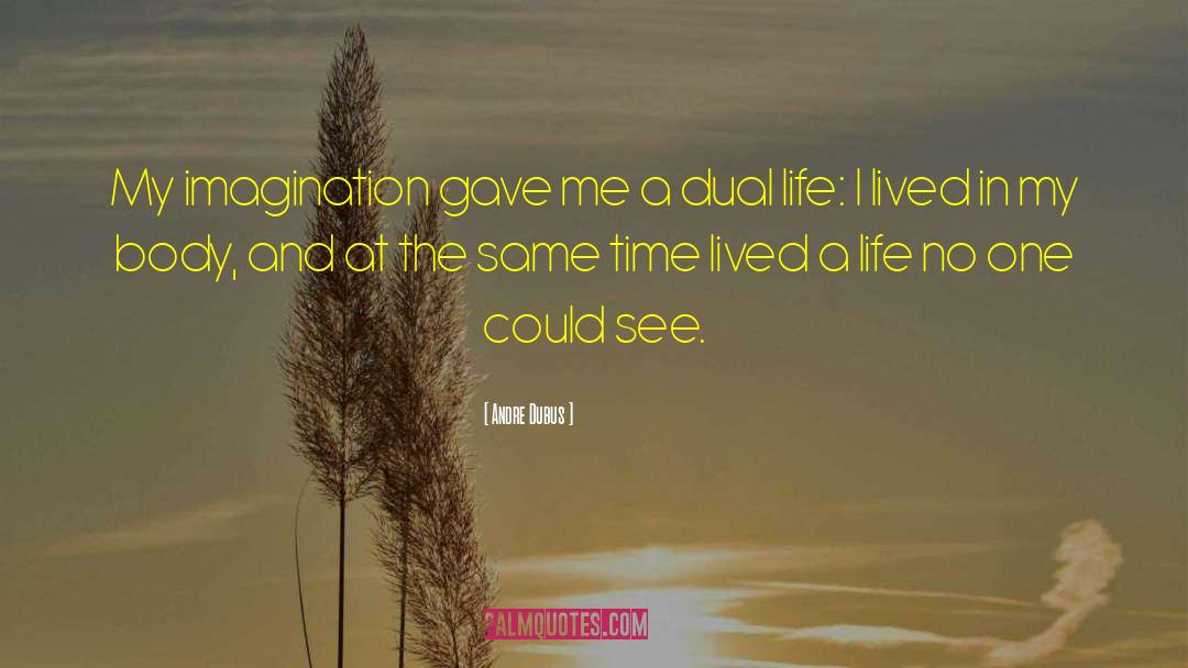 Andre Dubus Quotes: My imagination gave me a