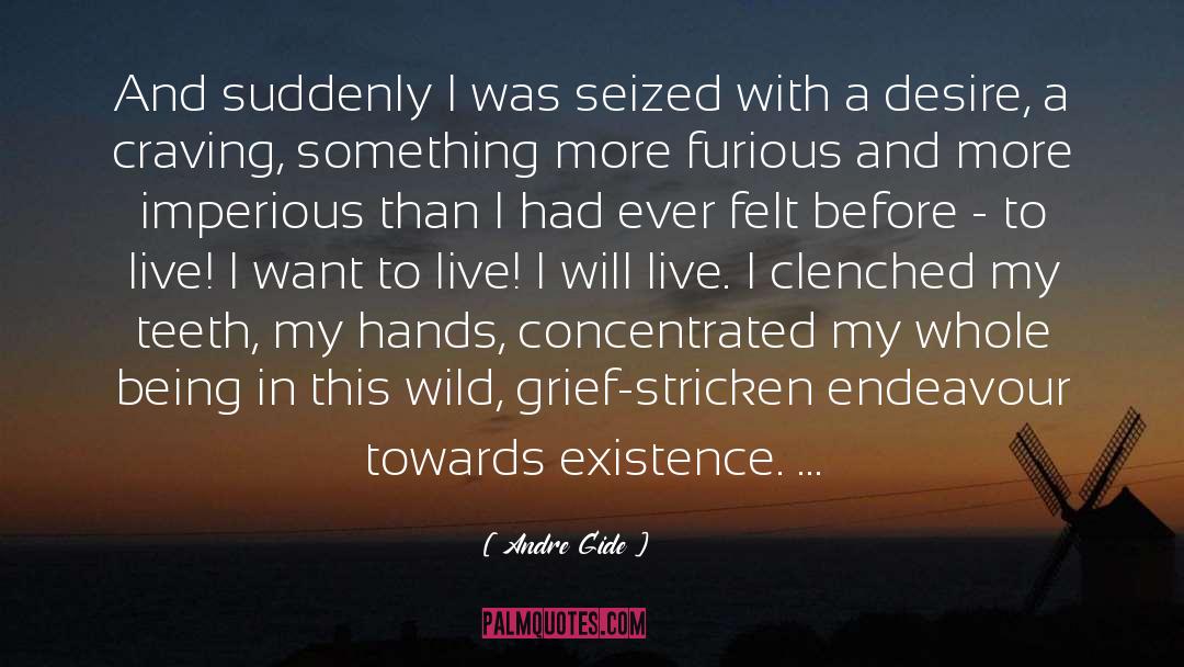 Andre Gide Quotes: And suddenly I was seized