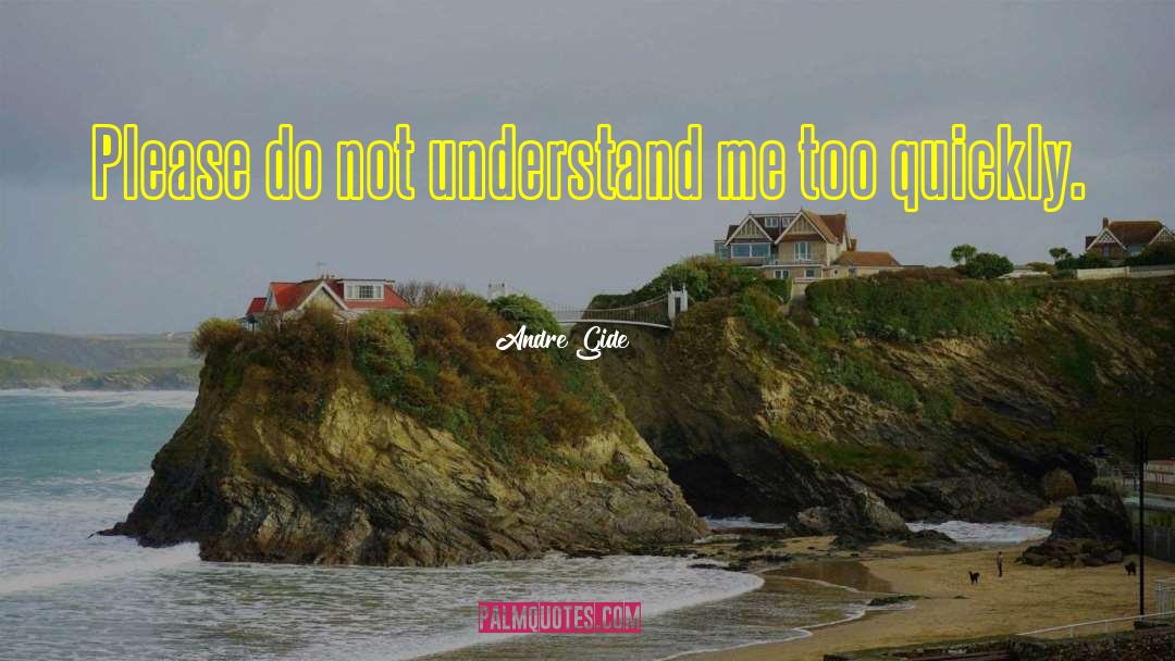 Andre Gide Quotes: Please do not understand me