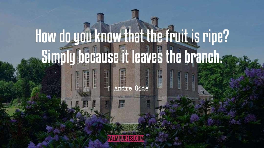 Andre Gide Quotes: How do you know that