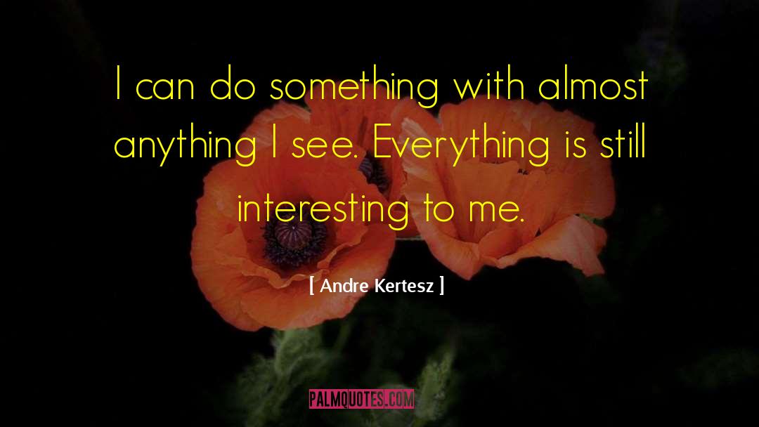 Andre Kertesz Quotes: I can do something with