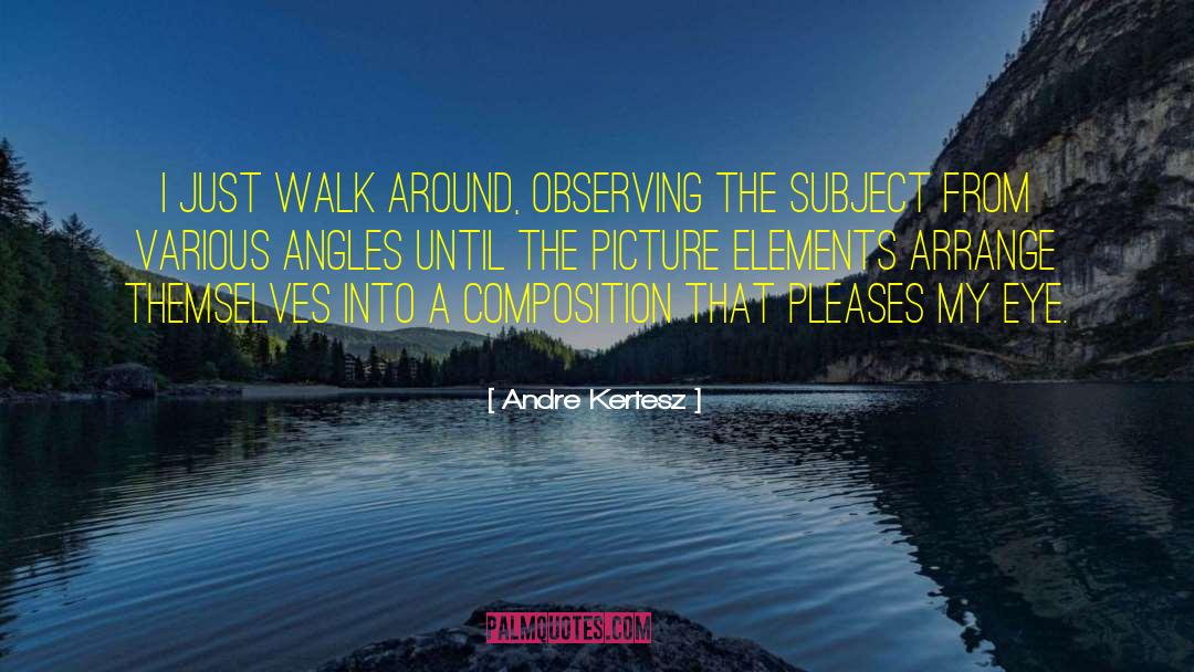 Andre Kertesz Quotes: I just walk around, observing